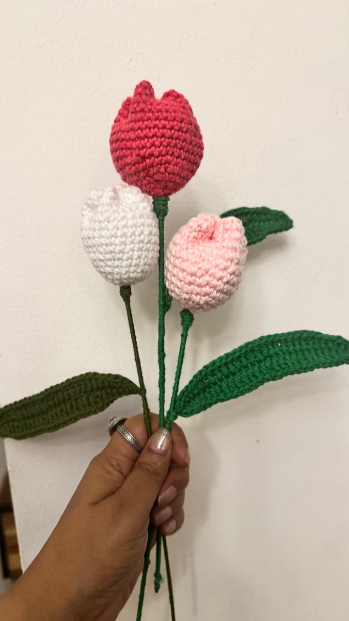 3 Colour Tulip Flowers